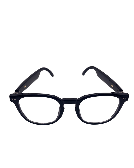 Smart Interpreter Glasses ADX